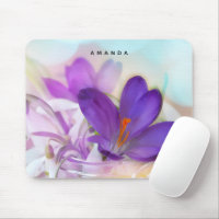 Photo of a Pretty Purple Spring Crocus