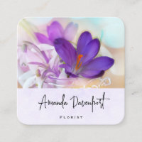 Photo of a Pretty Purple Spring Crocus