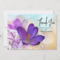 Photo of a Pretty Purple Spring Crocus