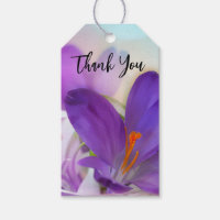 Photo of a Pretty Purple Spring Crocus Thank You