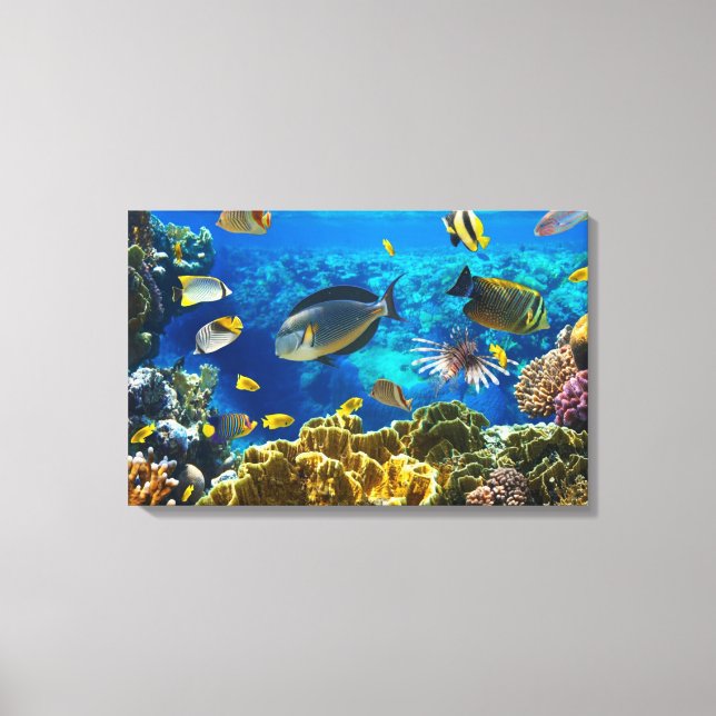 Photo of a tropical Fish on a coral reef Canvas Print (Front)