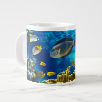 Photo of a tropical Fish on a coral reef
