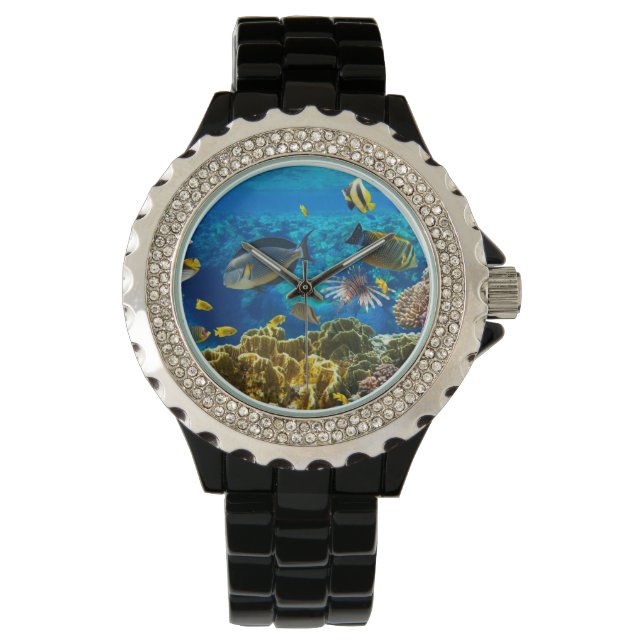 Photo of a tropical Fish on a coral reef Watch (Front)