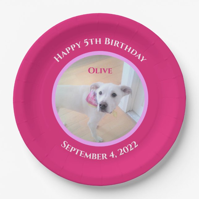 Photo of Adorable Puppy Dog Wearing Hot Pink Scarf Paper Plate (Front)