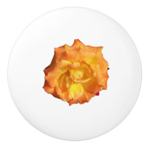Photo of an orange rose ceramic knob