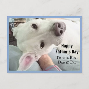 Photo of Cute Dog Best Dad Pal Ever Blue Denim Postcard