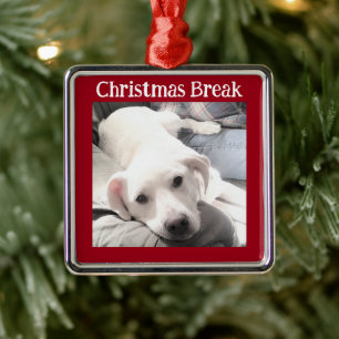 Photo of Cute Dog Christmas Break Red Metal Tree Decoration
