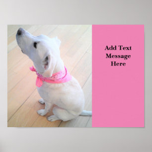 Photo of Cute Dog Looking Up Add Text Pink Poster
