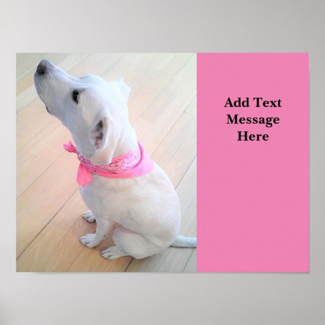 Photo of Cute Dog Looking Up Add Text Pink Poster (Front)