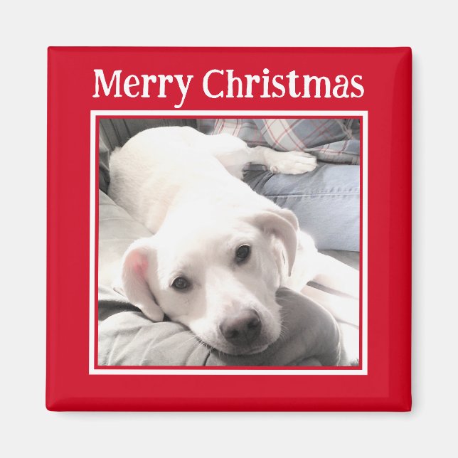 Photo of Cute Dog Merry Christmas Red Magnet (Front)