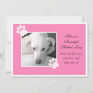 Photo of Cute Dog Pink Mother's Day Paw Frame Holiday Card