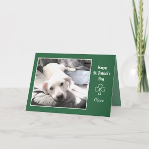 Photo of Cute Dog Sitting With Best Friend Dad Card