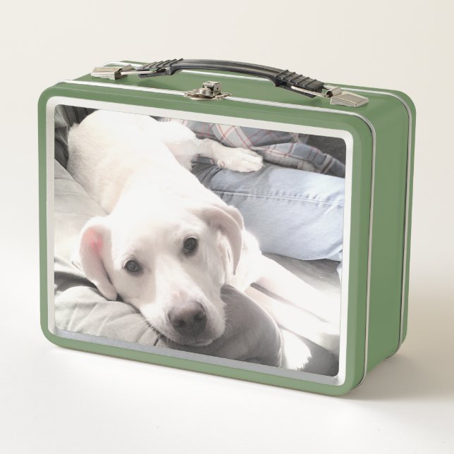 Photo of Cute Dog With Best Friend Green Metal Lunch Box (Front)