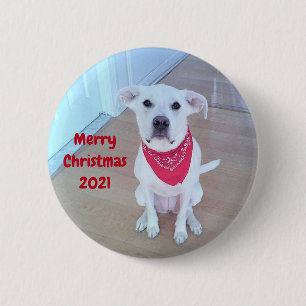 Photo of Cute Dog With Funny Sticking Out Ears Red 6 Cm Round Badge