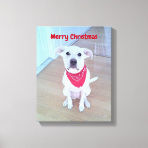 Photo of Cute Dog With Funny Sticking Out Ears Red Canvas Print