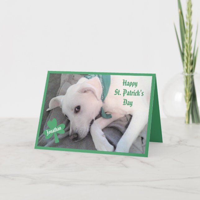 Photo of Cute Lazy Dog Funny St. Patrick's Day Card (Front)