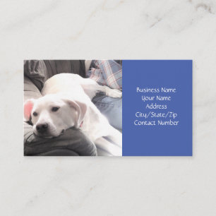 Photo of Cute Lazy Dog Sitting on Couch With Dad Business Card