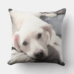 Photo of Cute Lazy White Dog Hanging Out with Dad Cushion