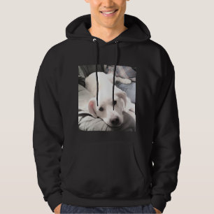 Photo of Cute Lazy White Dog Hanging out With Dad Hoodie