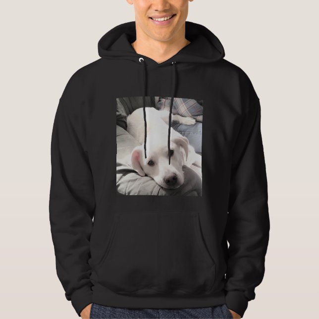 Photo of Cute Lazy White Dog Hanging out With Dad Hoodie (Front)