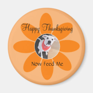 Photo of Cute Puppy Dog in Orange Flower Funny Magnet