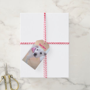 Photo of Cute Sweet White Puppy Dog Face Pink Gift Tags
