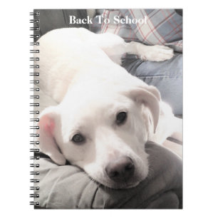 Photo of Cute Tired dog With Dad on Couch Notebook