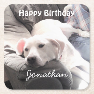 Photo of Cute Tired White Dog With Best Friend Dad Square Paper Coaster