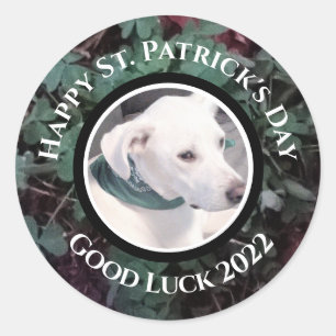 Photo of Cute White Dog Green Shamrocks Clovers Classic Round Sticker