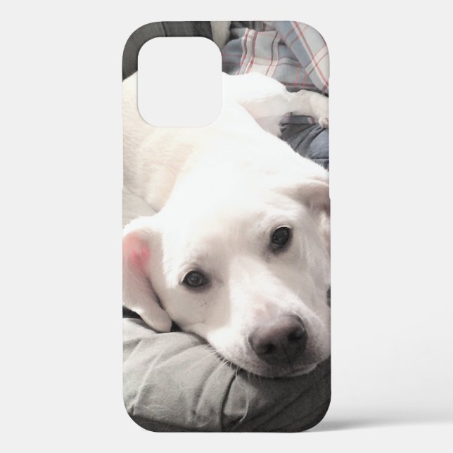 Photo of Cute White Dog Hanging Out with Dad Case-Mate iPhone Case (Back)