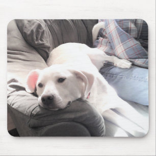 Photo of Cute White Dog Hanging Out with Dad Mouse Pad