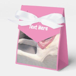 Photo of Cute White Dog Pink Favour Box