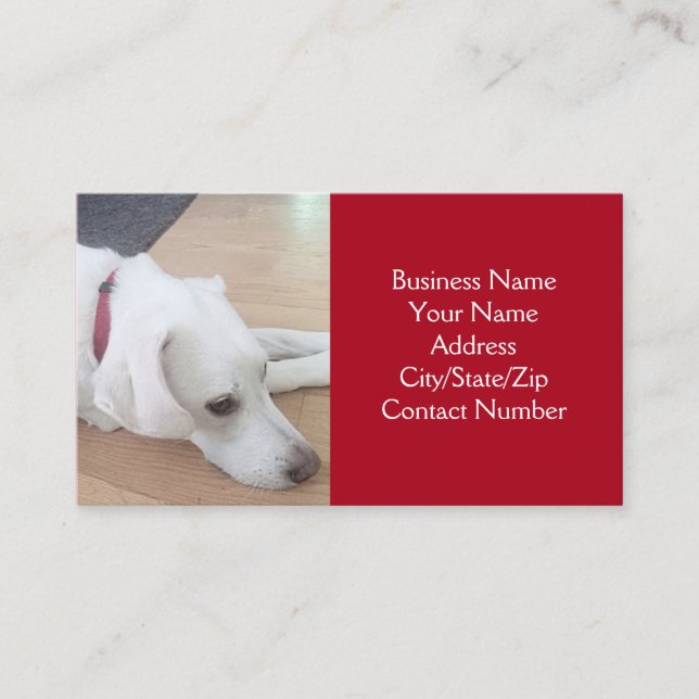 Photo of Cute White Dog Wearing Red Collar Business Card (Front)
