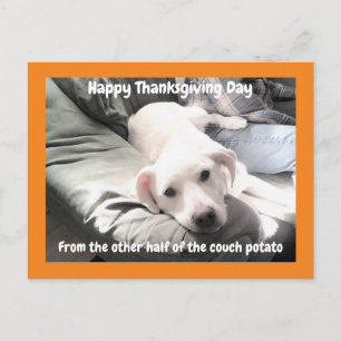 Photo of Cute White Dog With Dad Thanksgiving Postcard