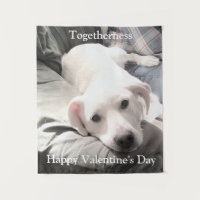 Photo of Cute White Dog With Dad Valentine's Day