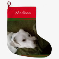 Photo of Cute White Labrador Mix Dog Large Christm