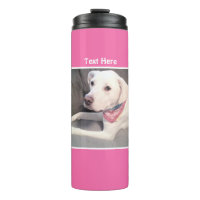 Photo of Cute White Labrador Mix Dog Pink Thermal