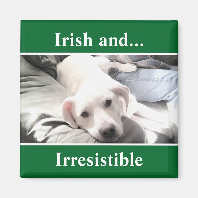 Photo of Cute White Labrador Mix St. Patrick's Day Magnet (Front)