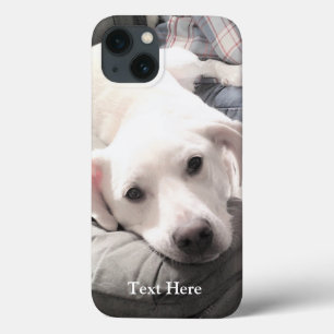 Photo of Cute White Labrador Retriever Mix Dog iPhone 13 Case