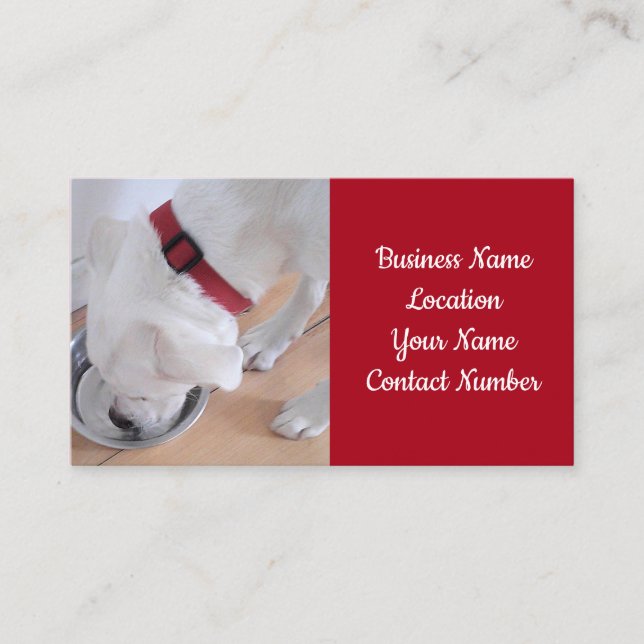 Photo of Cute White Puppy Dog Drinking Water Red Business Card (Front)