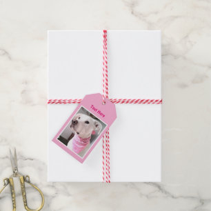 Photo of Cute White Puppy Dog Wearing Pink Scarf G Gift Tags
