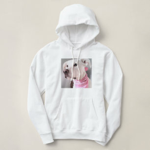Photo of Cute White Puppy Dog Wearing Pink Scarf Hoodie