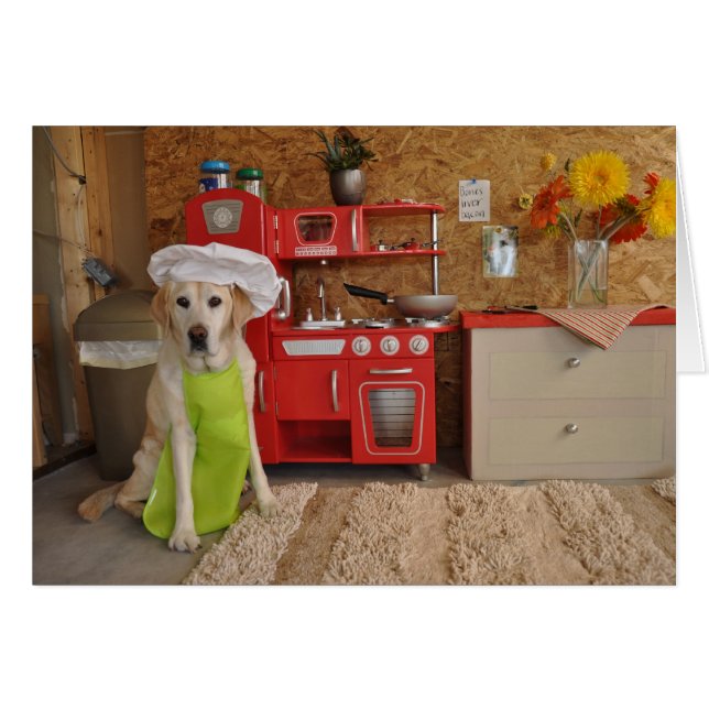 Photo of dog with chef's hat on (Front Horizontal)