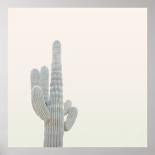 PHOTO OF GRAY CACTUS PLANT POSTER