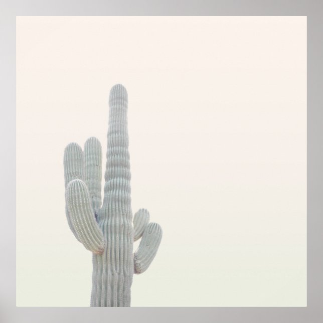 PHOTO OF GRAY CACTUS PLANT POSTER (Front)