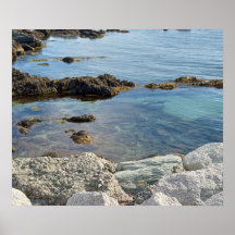 Photo of Low Tide Translucent Atlantic Ocean