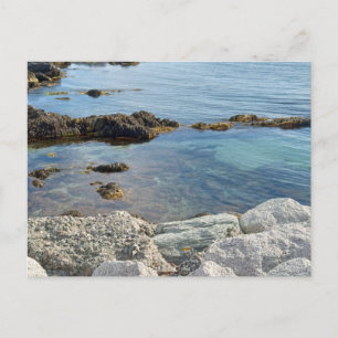 Photo of Low Tide Translucent Atlantic Ocean Water Postcard