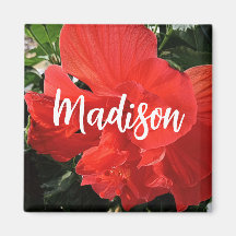 Photo of Orange Double Hibiscus Custom Name