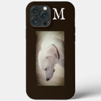 Photo of Proud Dog Profile Dark Chocolate Brown