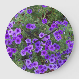 Photo of Purple Phlox flowers on a Large Clock